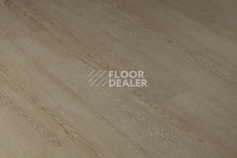 Tarkett Funky House Ricon фото 7 | FLOORDEALER